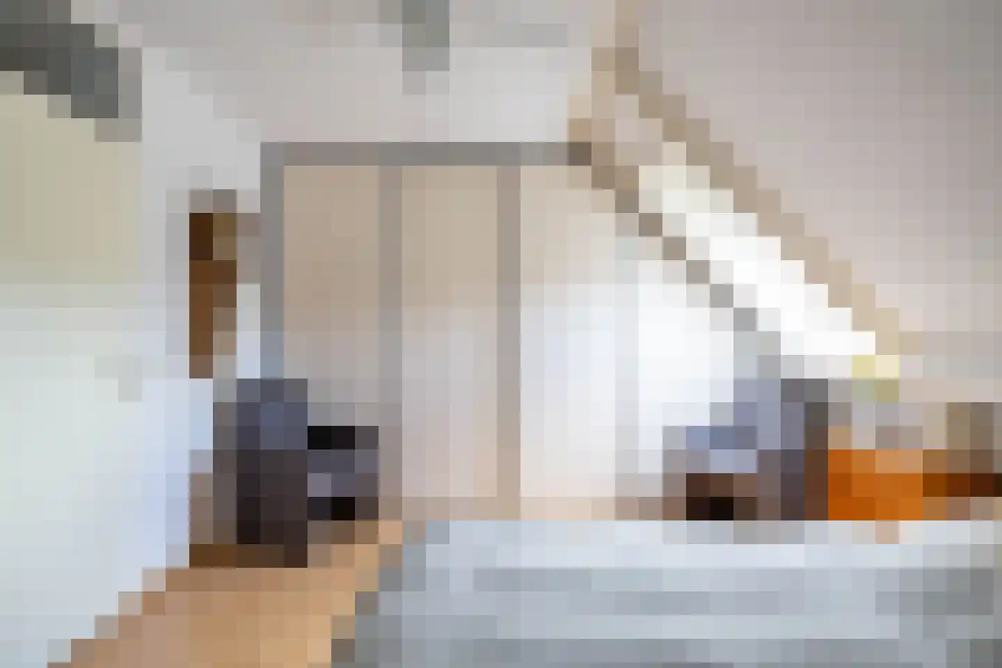de Wam 12 Zuidlaren thumbnail 27
