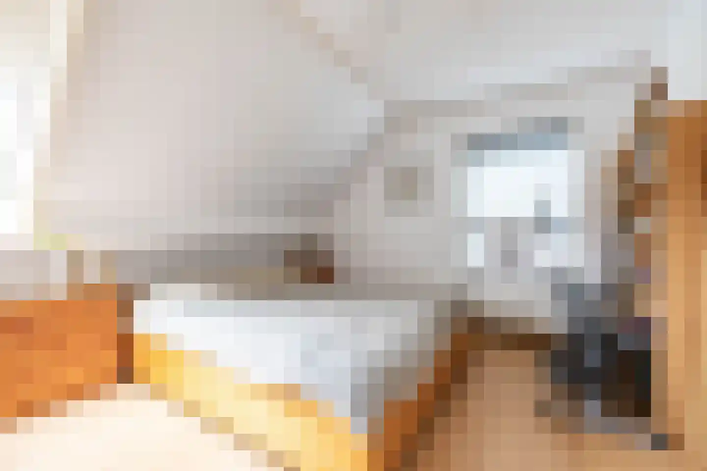 de Wam 12 Zuidlaren thumbnail 28