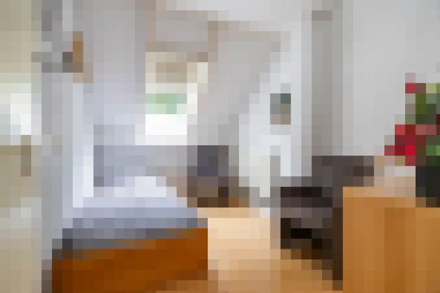 de Wam 12 Zuidlaren thumbnail 30