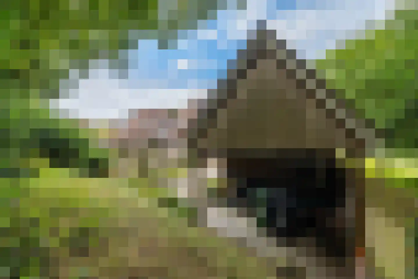 de Wam 12 Zuidlaren thumbnail 44