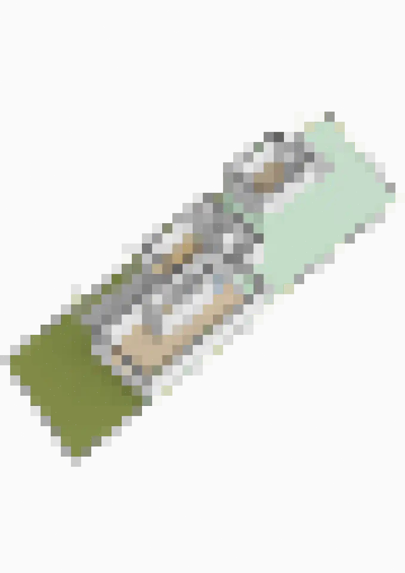 de Wam 12 Zuidlaren thumbnail 56