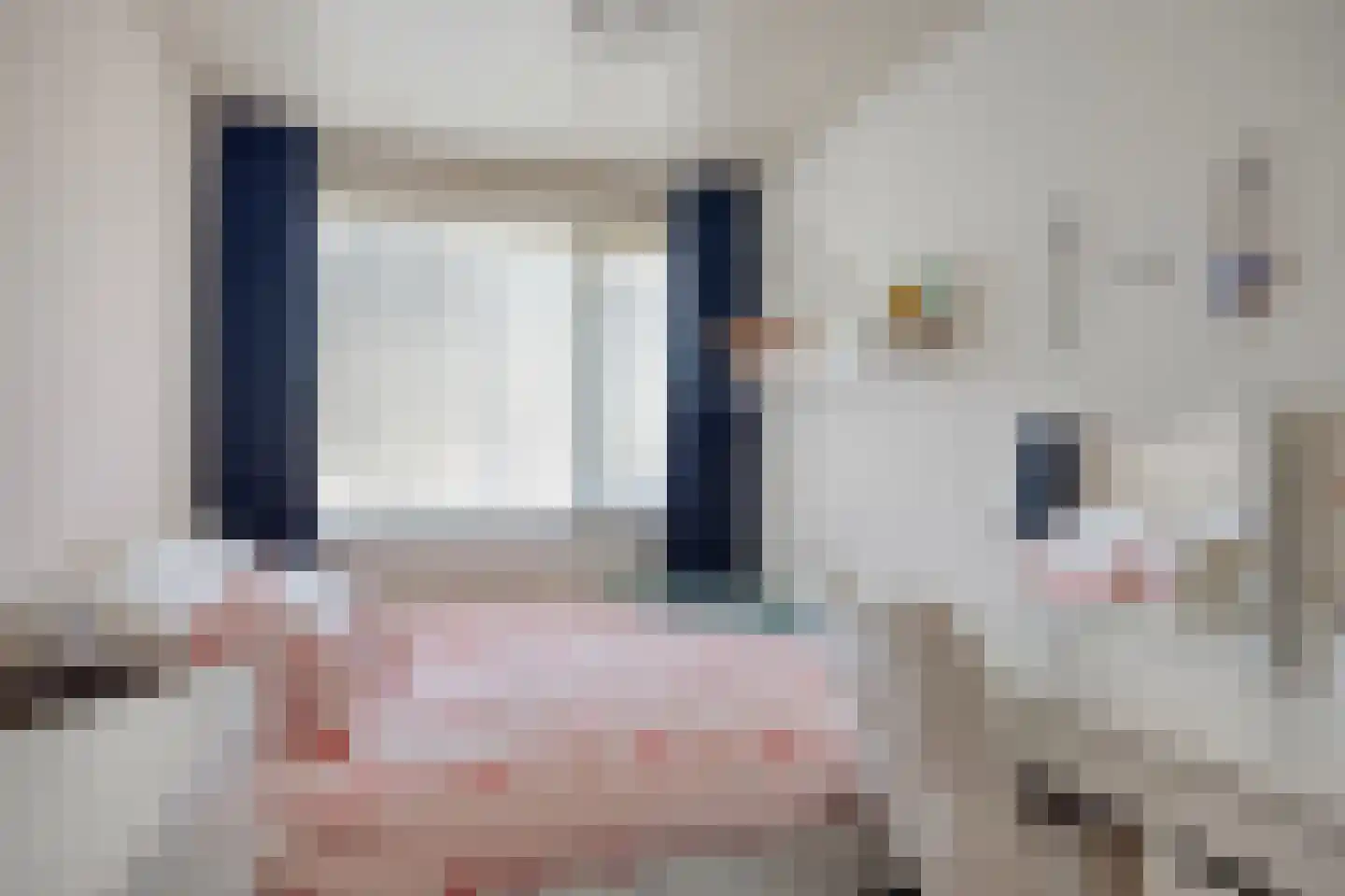 de Wan 13 Reusel thumbnail 18