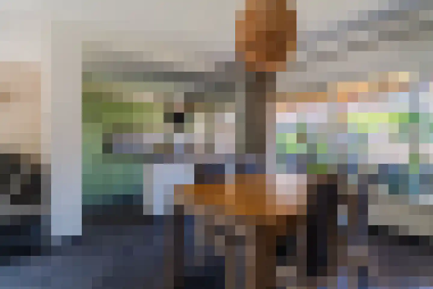 de Wan 15 Reusel thumbnail 12