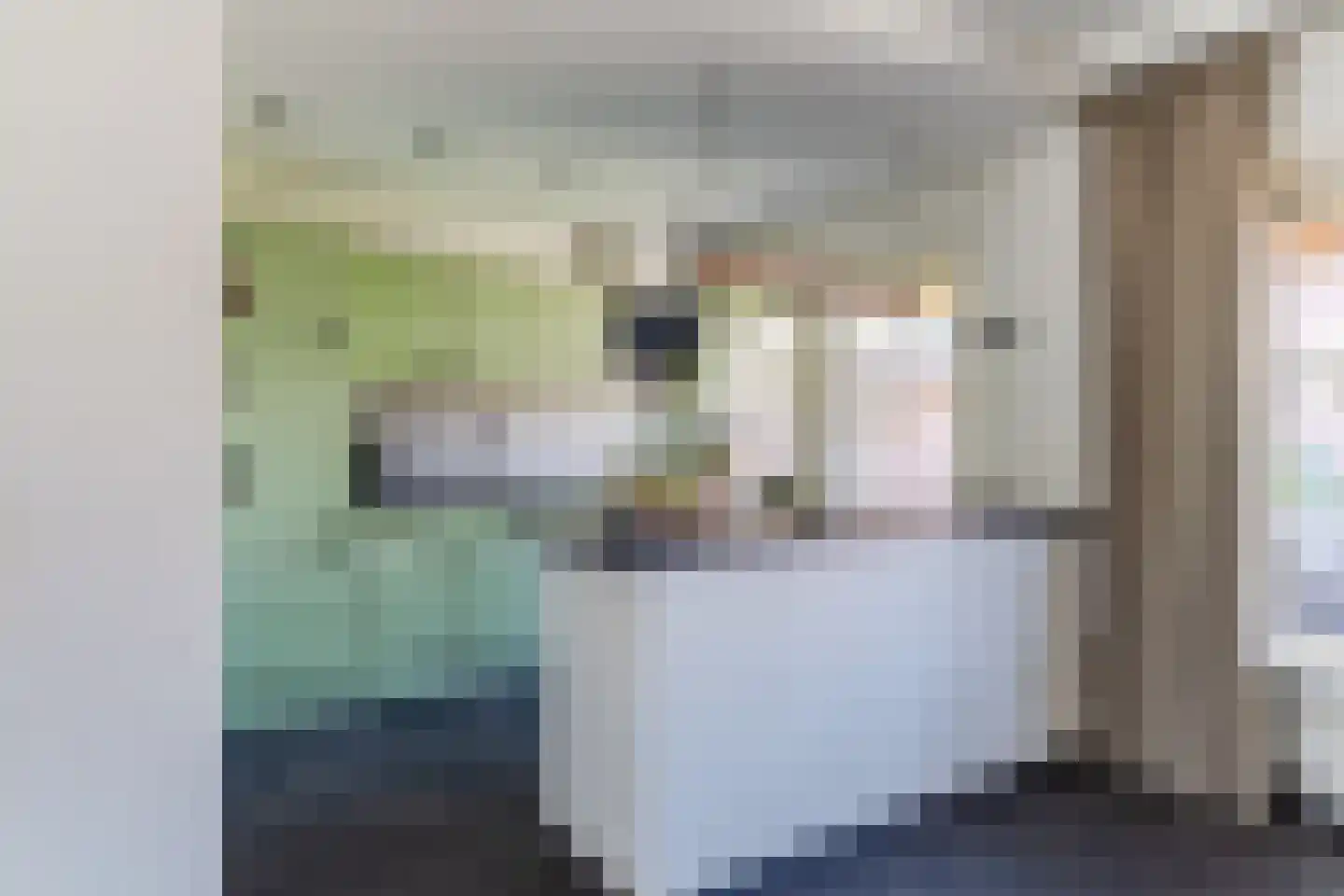 de Wan 15 Reusel thumbnail 13