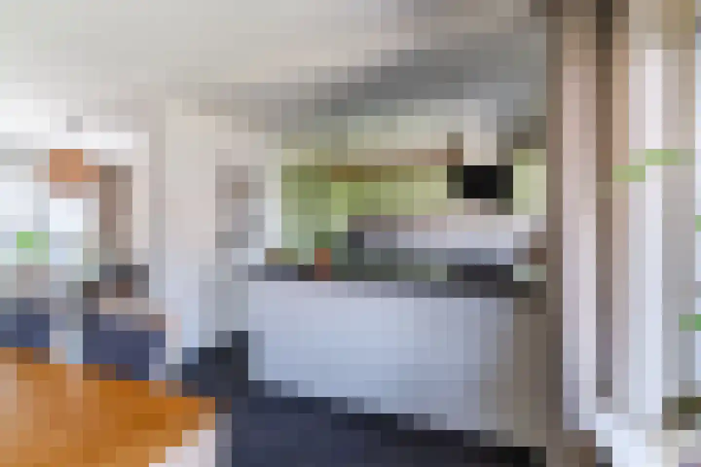 de Wan 15 Reusel thumbnail 14