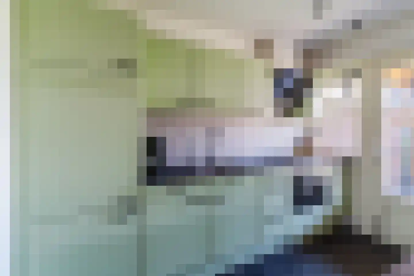 de Wan 15 Reusel thumbnail 15