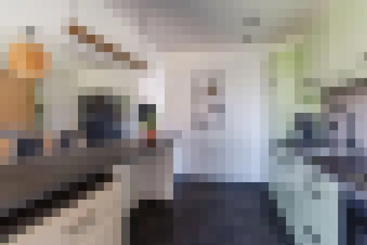 de Wan 15 Reusel thumbnail 17