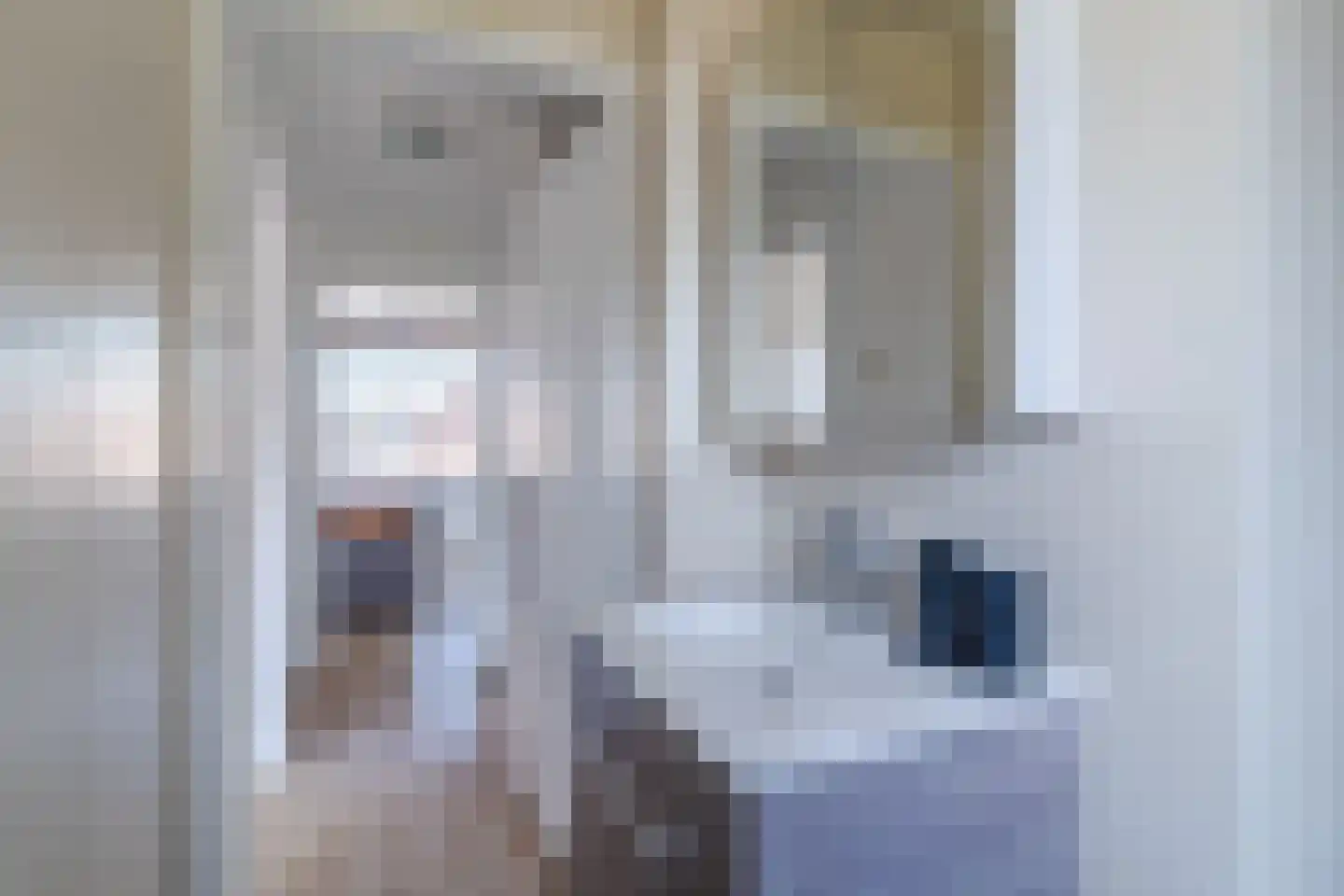 de Wan 15 Reusel thumbnail 28