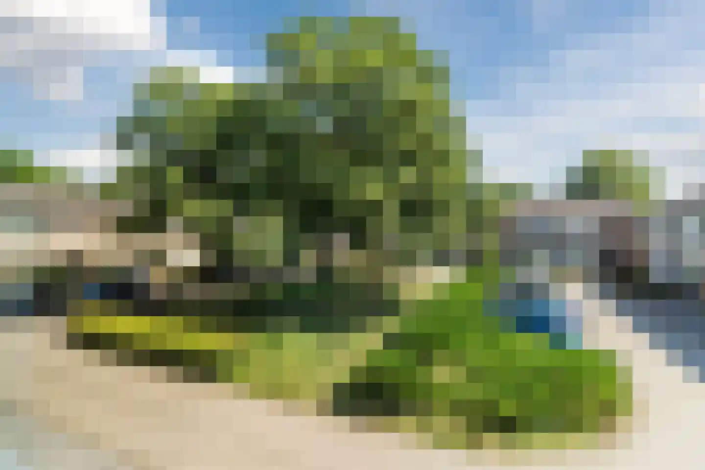de Wan 15 Reusel thumbnail 43