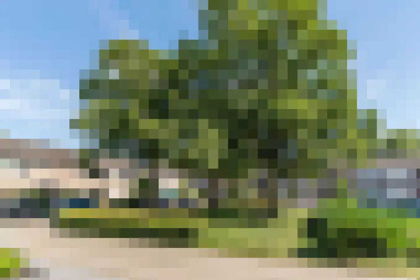 de Wan 15 Reusel thumbnail 44