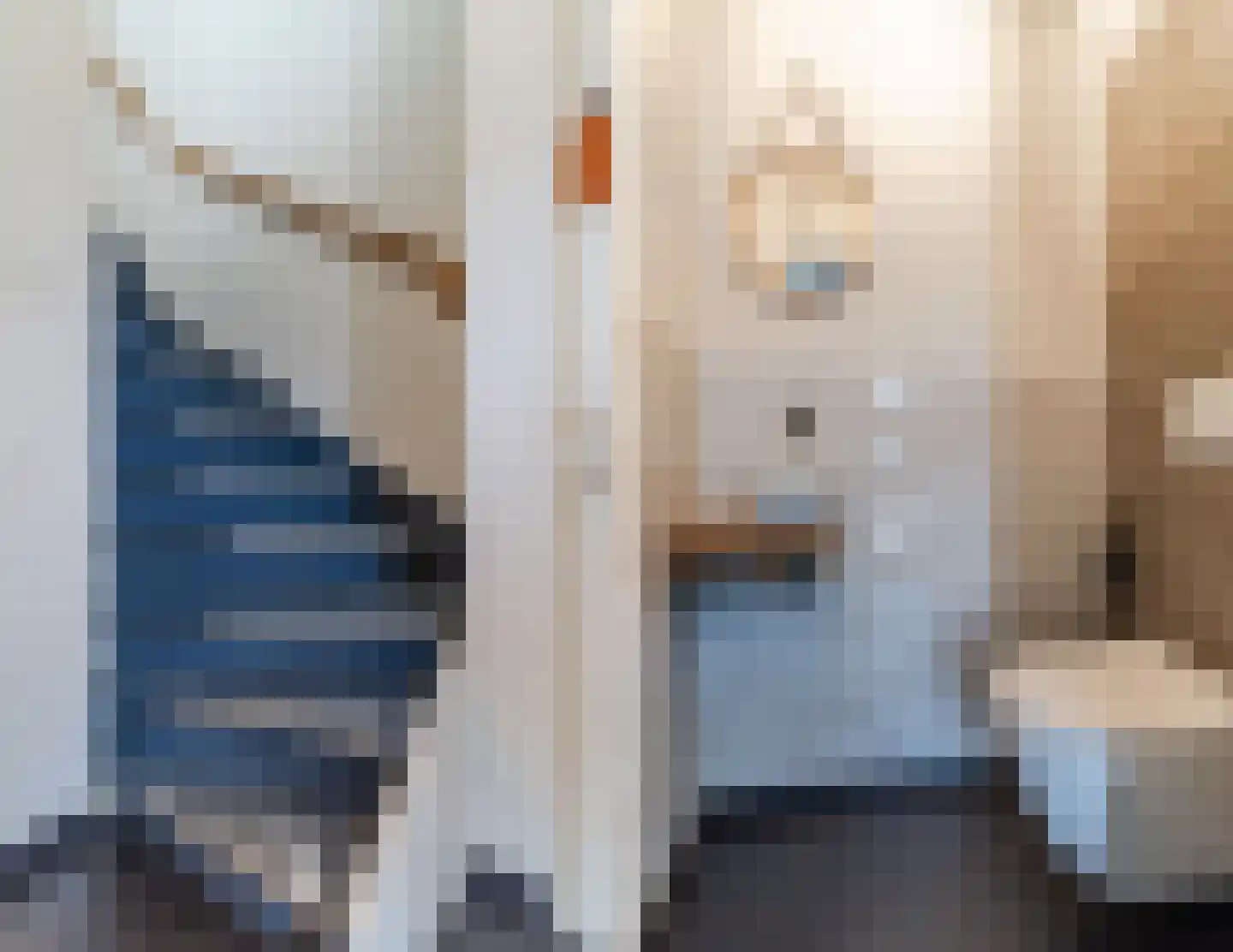 de Wan 15 Reusel thumbnail 5