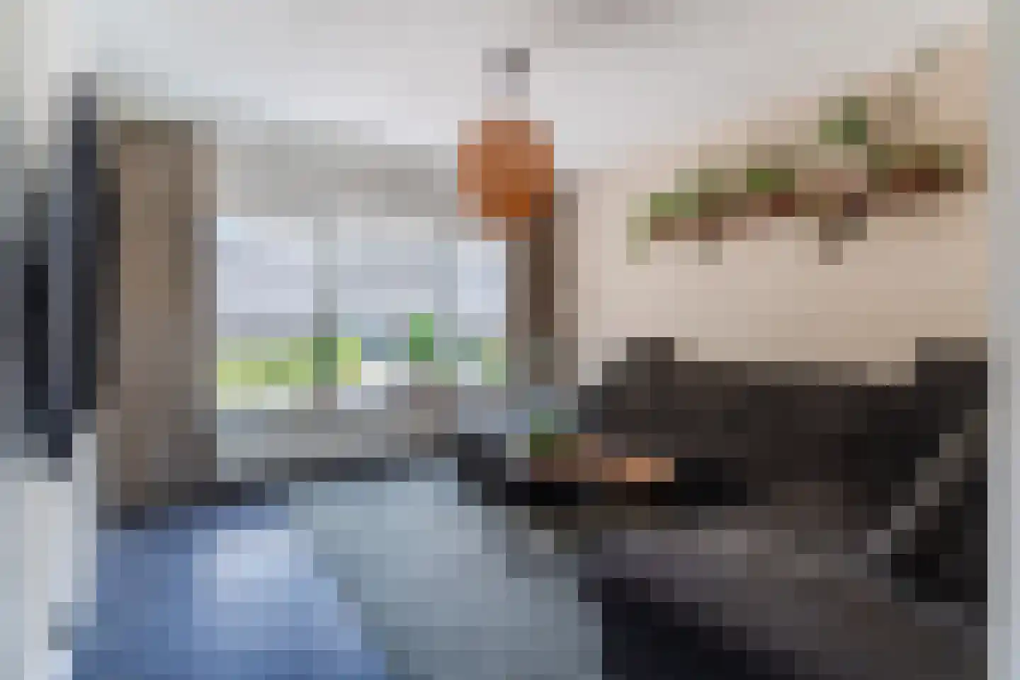 de Wan 15 Reusel thumbnail 7