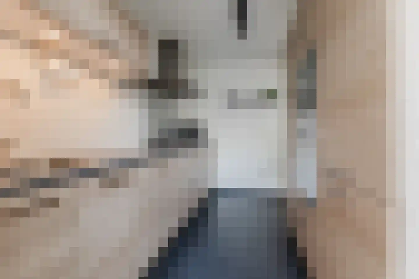 de Wan 18 Reusel thumbnail 12