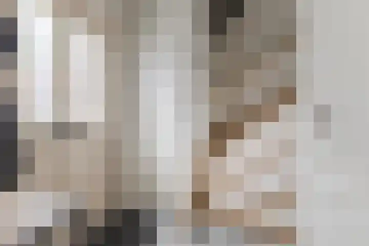de Wan 18 Reusel thumbnail 14