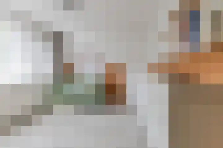 de Wan 18 Reusel thumbnail 18