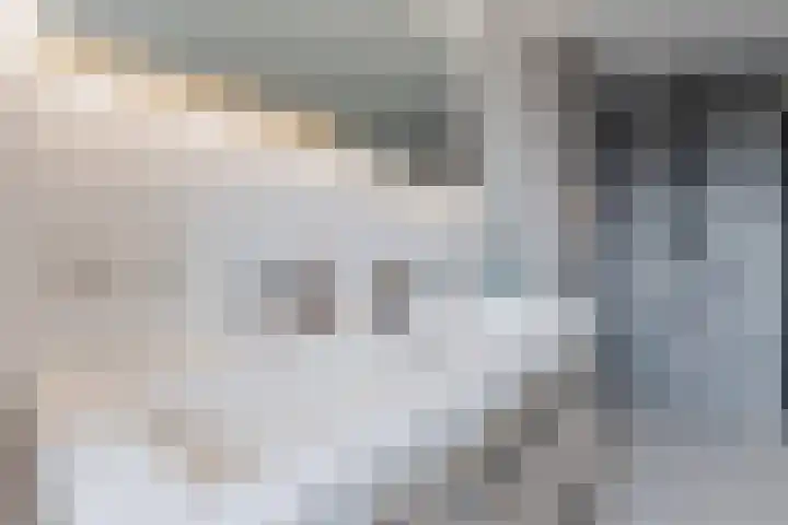 de Wan 18 Reusel thumbnail 22