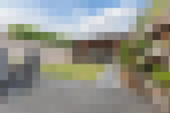 de Wan 18 Reusel thumbnail 29