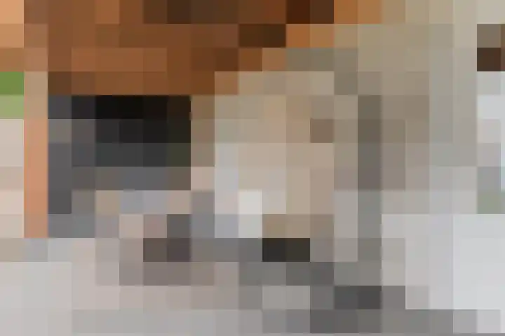 de Wan 18 Reusel thumbnail 31
