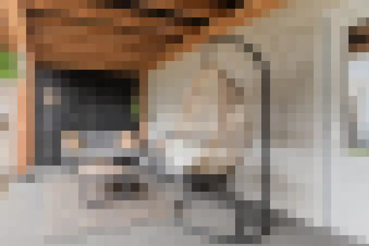 de Wan 18 Reusel thumbnail 31