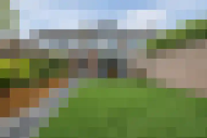 de Wan 18 Reusel thumbnail 32