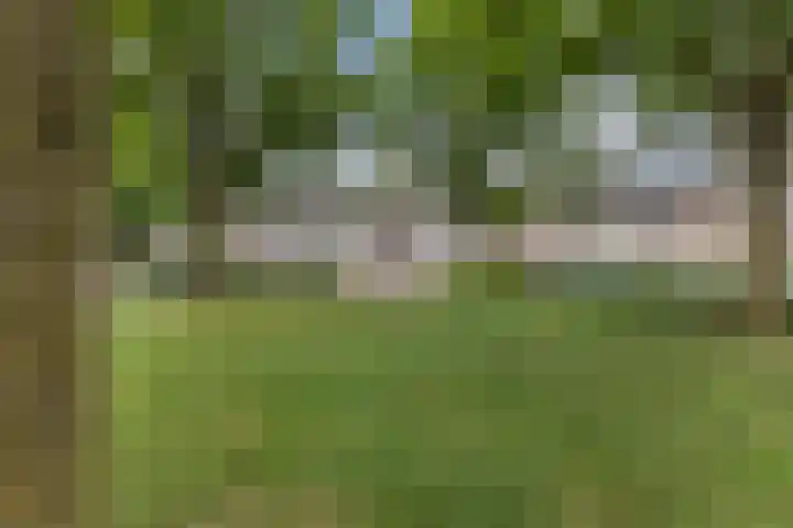de Wan 18 Reusel thumbnail 33
