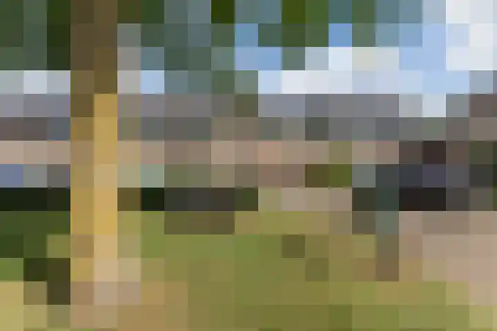 de Wan 18 Reusel thumbnail 4