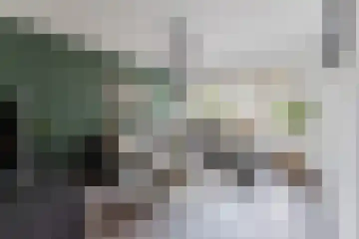 de Wan 18 Reusel thumbnail 5