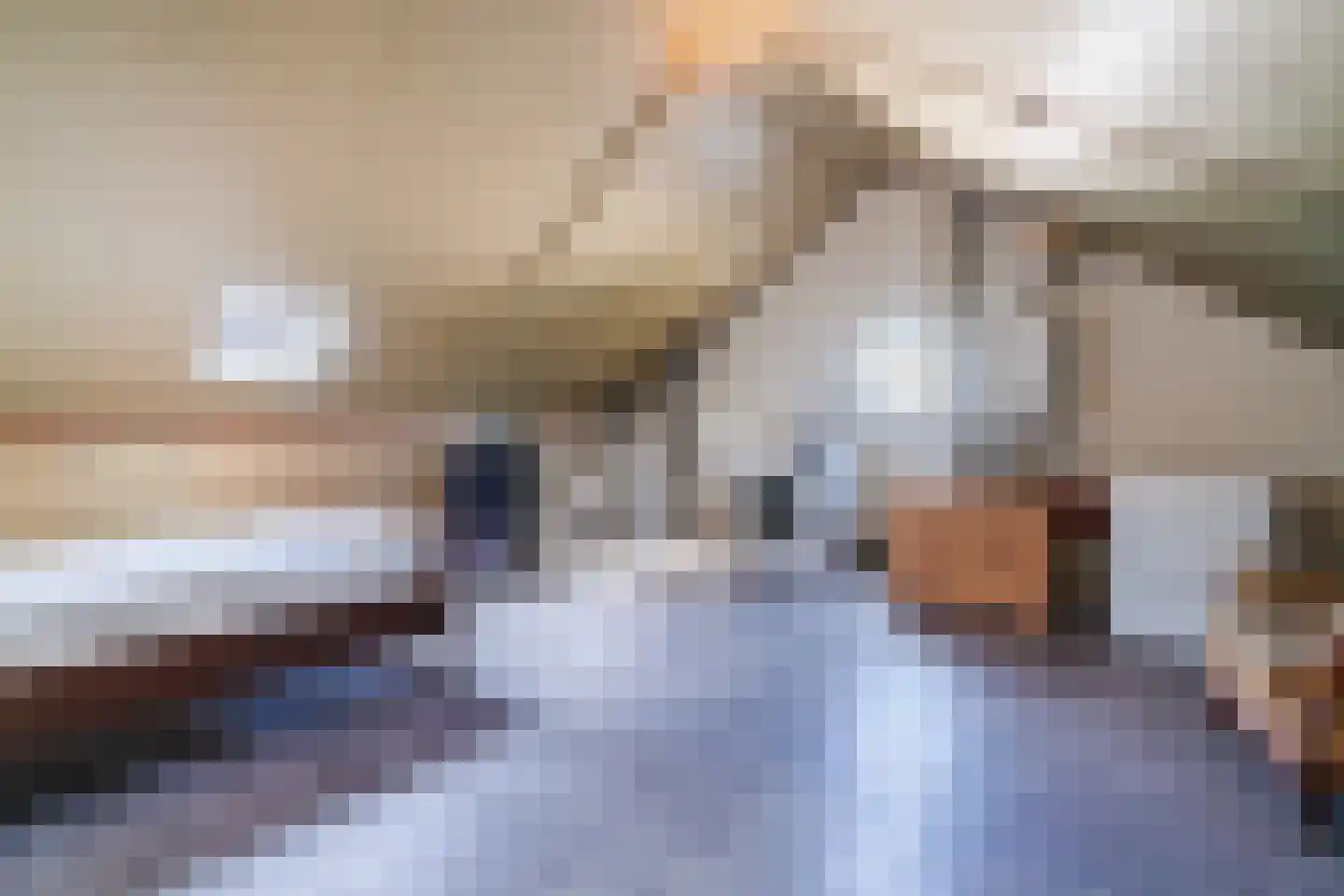 De Wan 8 Heerde thumbnail 37