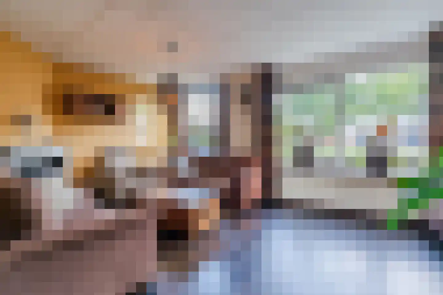 De Wan 8 Heerde thumbnail 4
