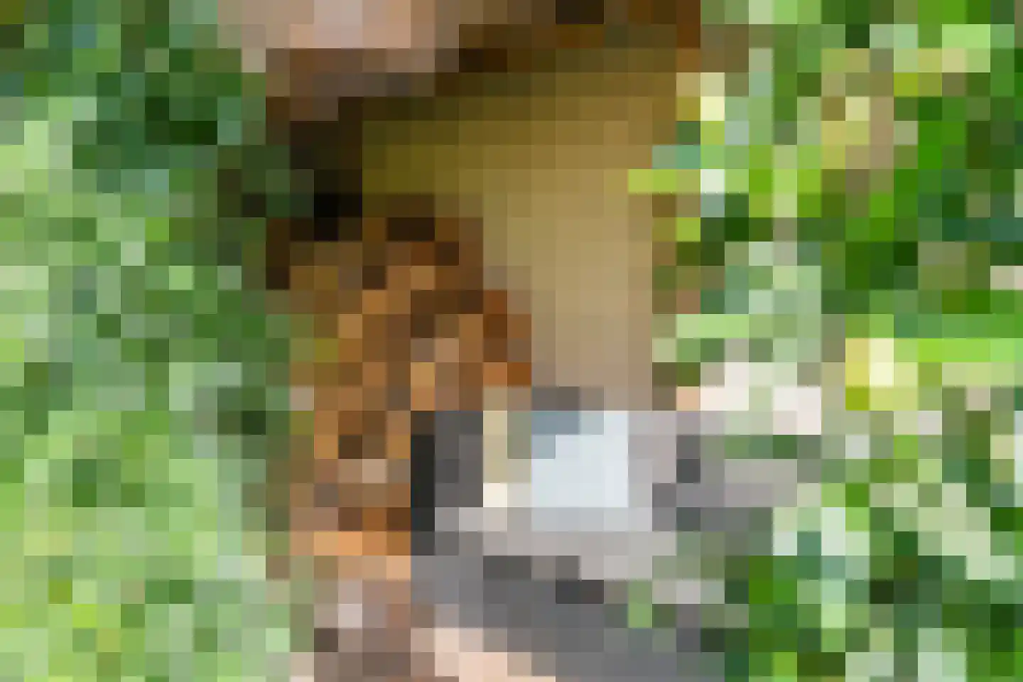 De Wan 8 Heerde thumbnail 41