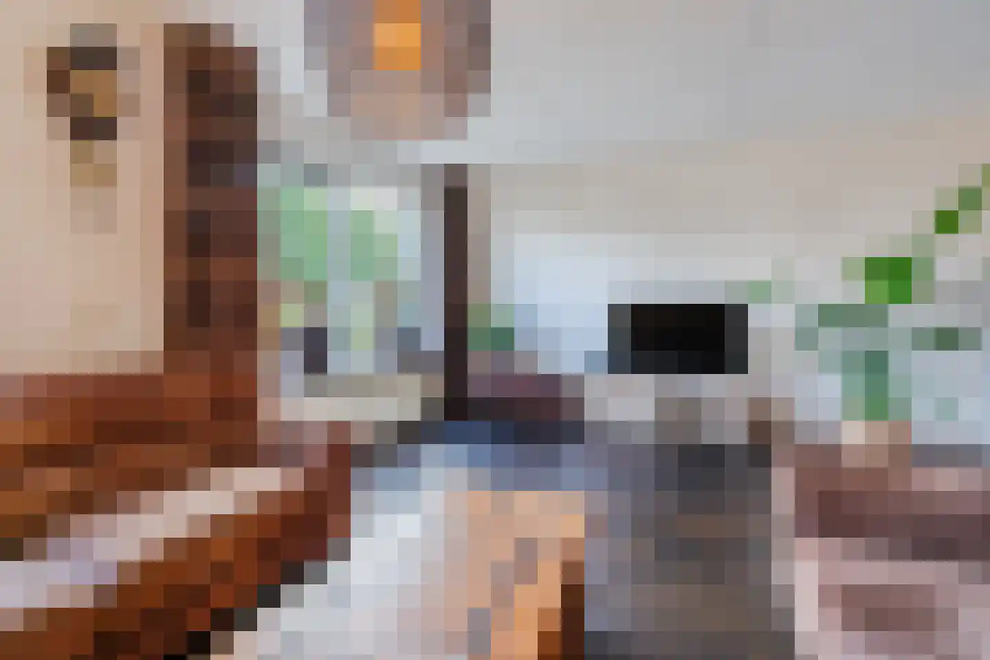 De Wan 8 Heerde thumbnail 7