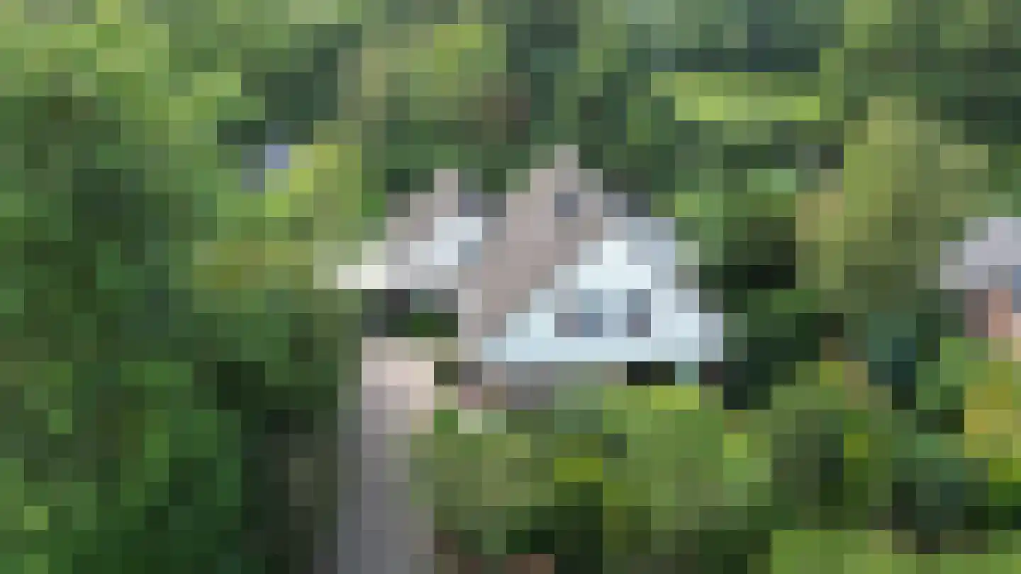 de Wandelingen 15 Wijhe