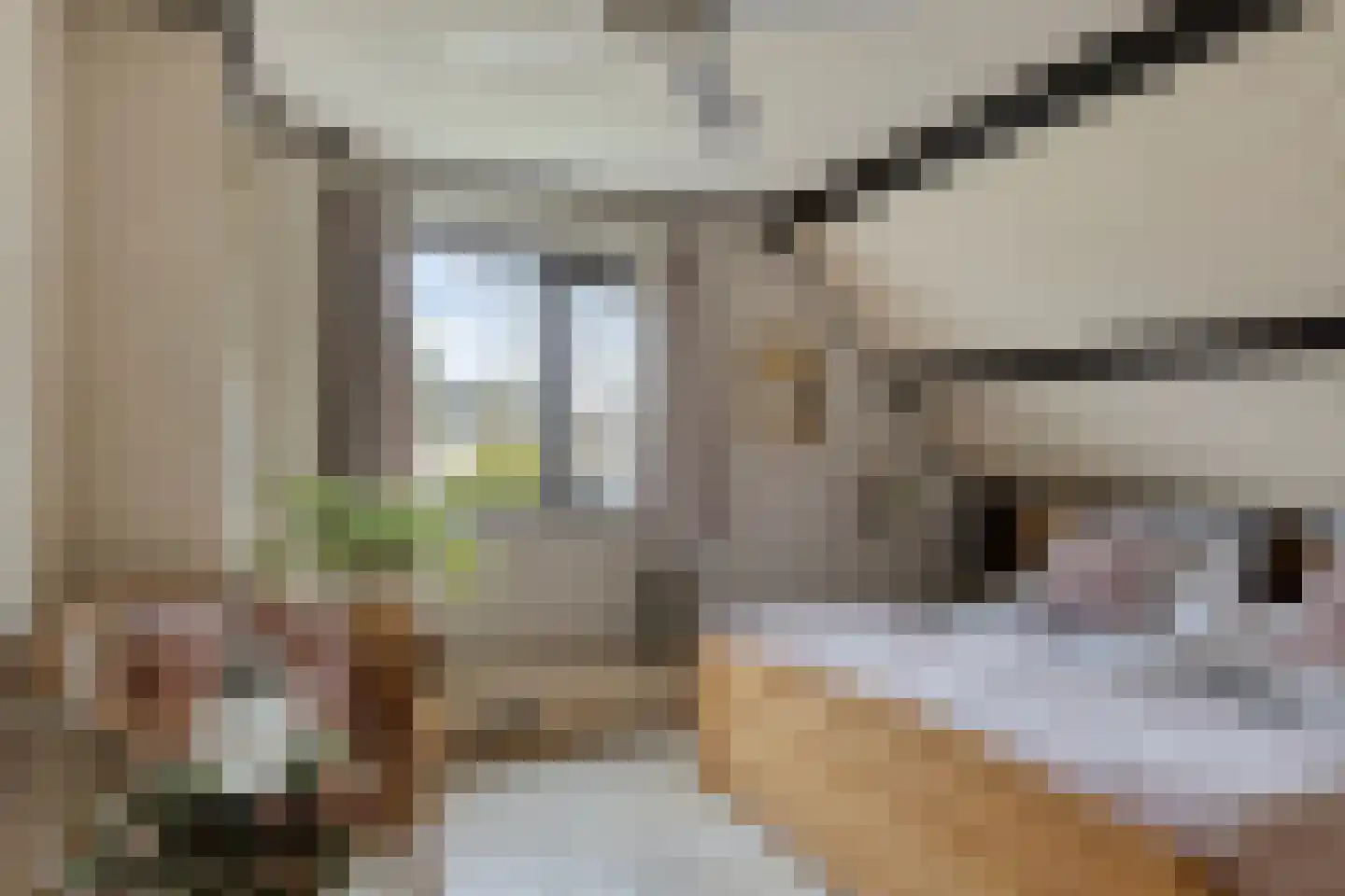 de Wandelingen 15 Wijhe thumbnail 24