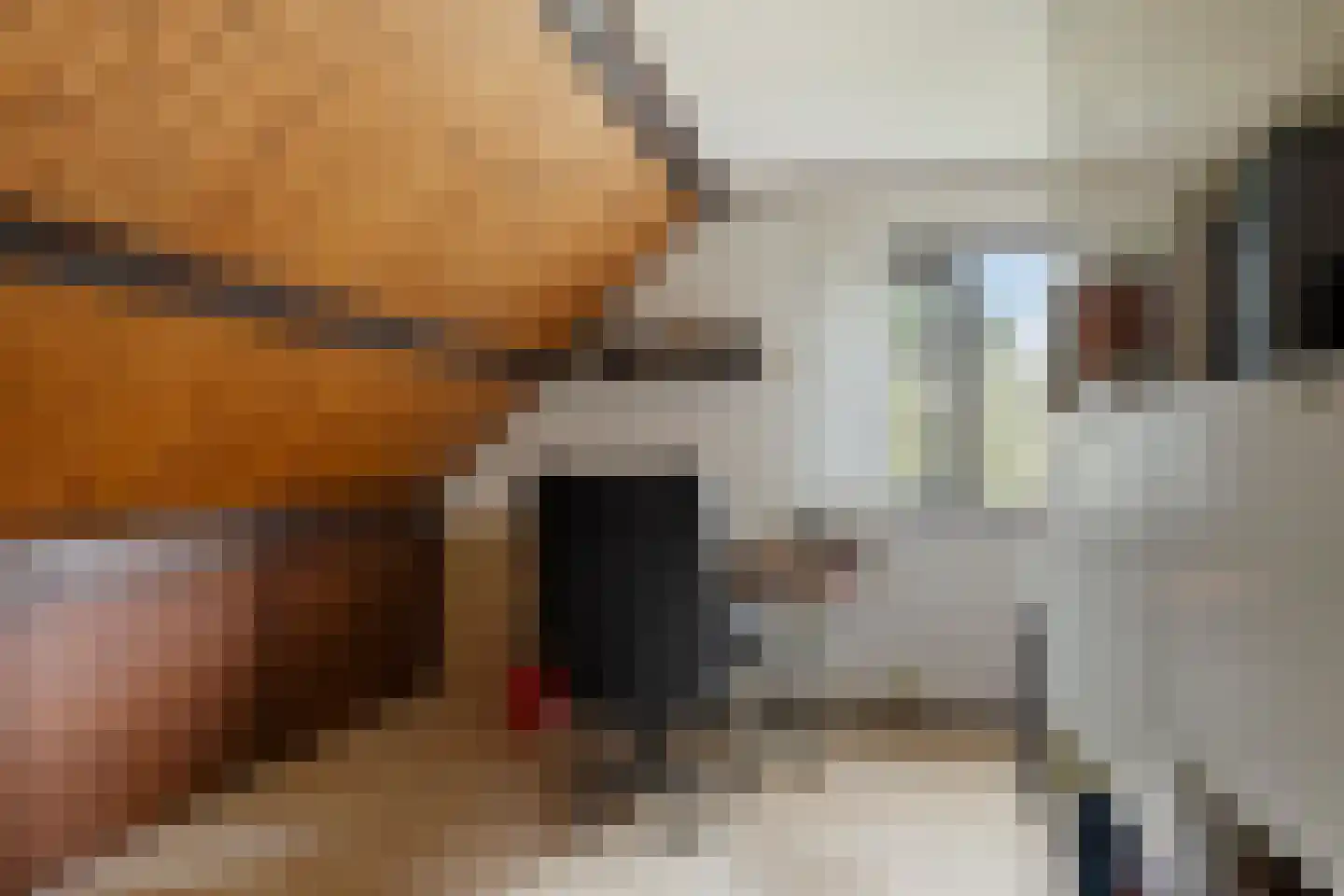 de Wandelingen 15 Wijhe thumbnail 26