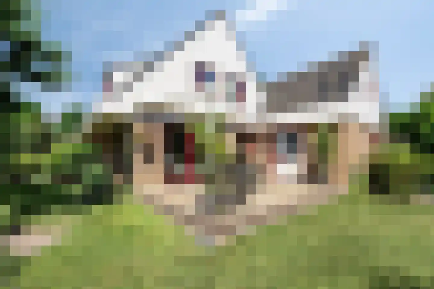 de Wandelingen 15 Wijhe thumbnail 33