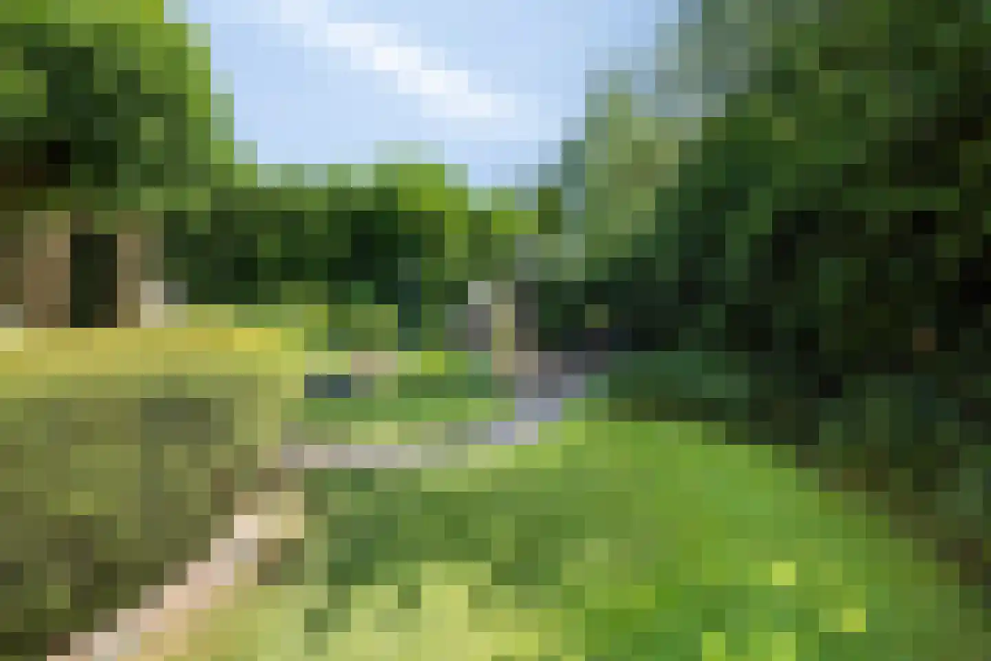 de Wandelingen 15 Wijhe thumbnail 36