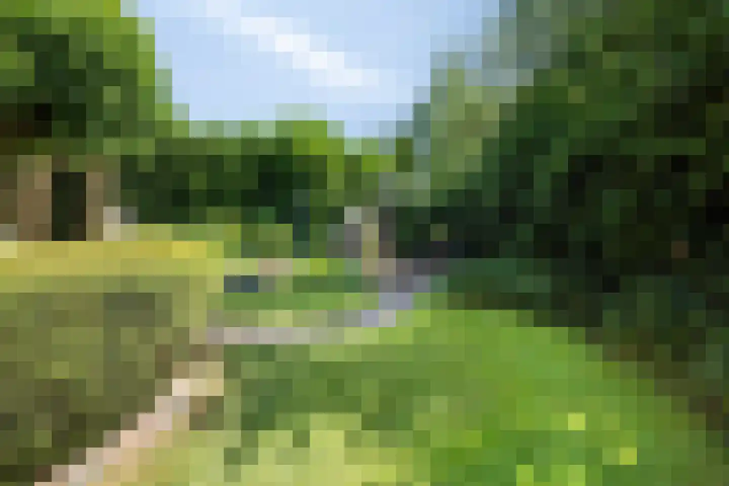 de Wandelingen 15 Wijhe thumbnail 36