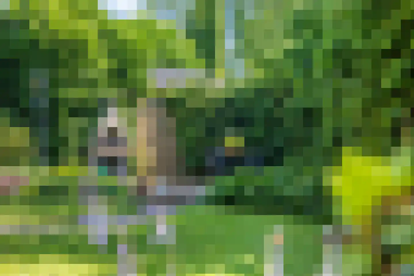 de Wandelingen 15 Wijhe thumbnail 37