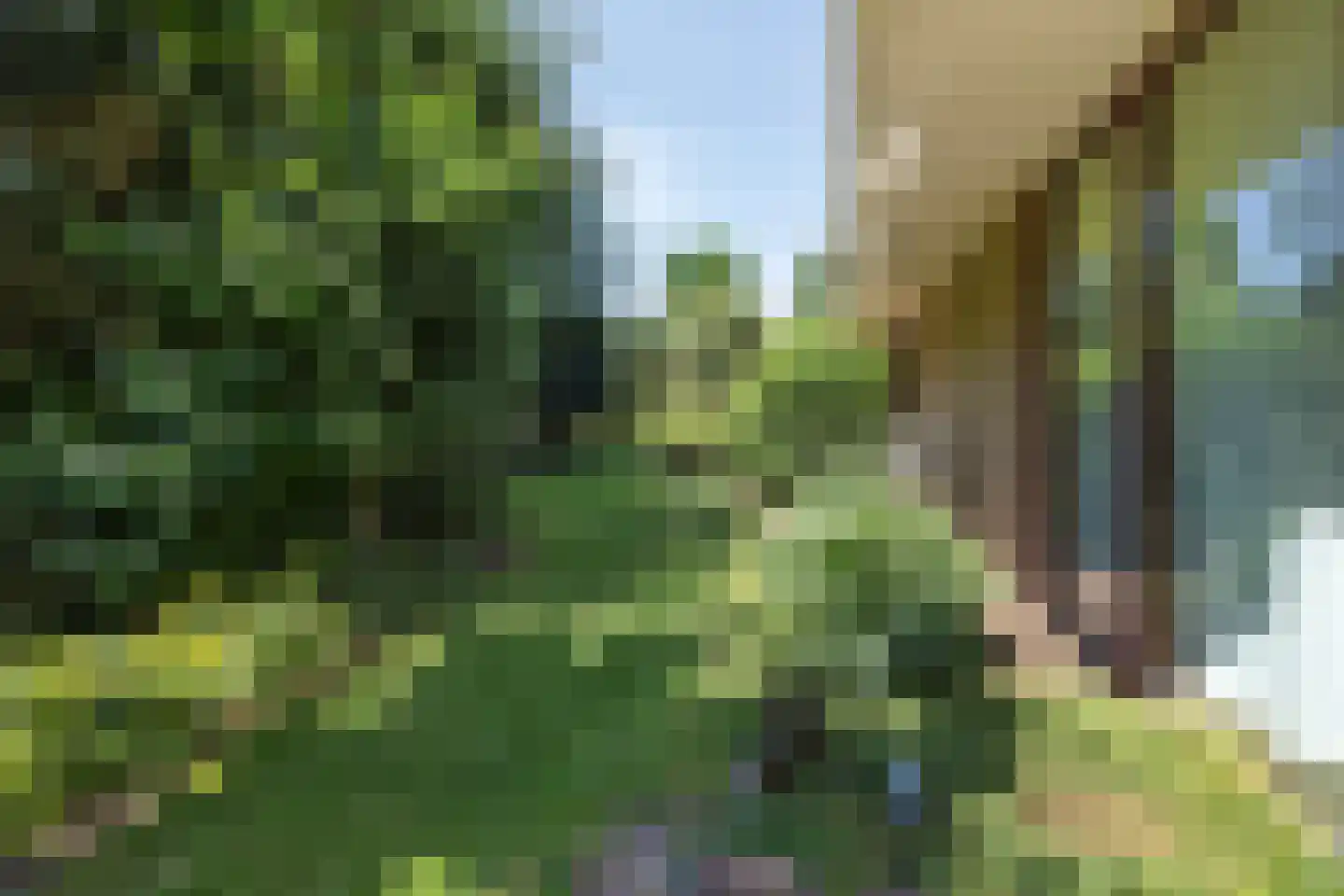 de Wandelingen 15 Wijhe thumbnail 39