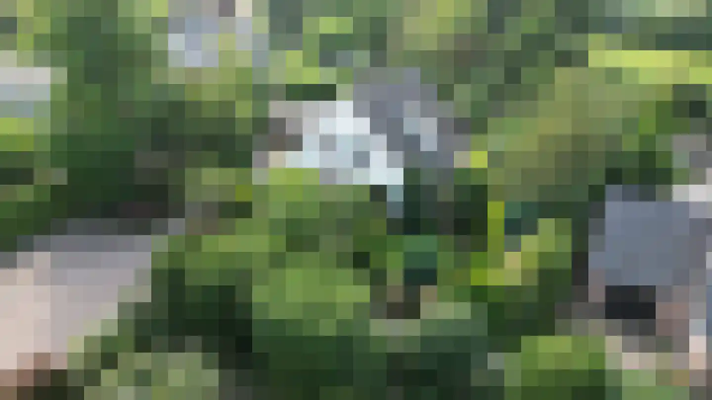 de Wandelingen 15 Wijhe thumbnail 4