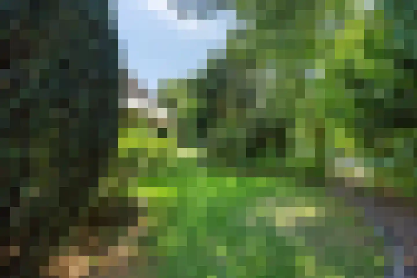 de Wandelingen 15 Wijhe thumbnail 41
