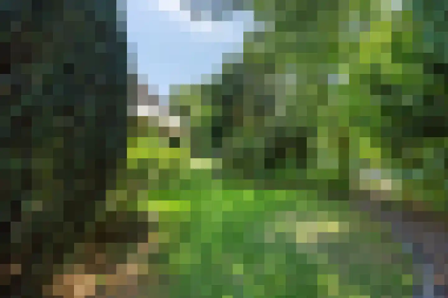 de Wandelingen 15 Wijhe thumbnail 41