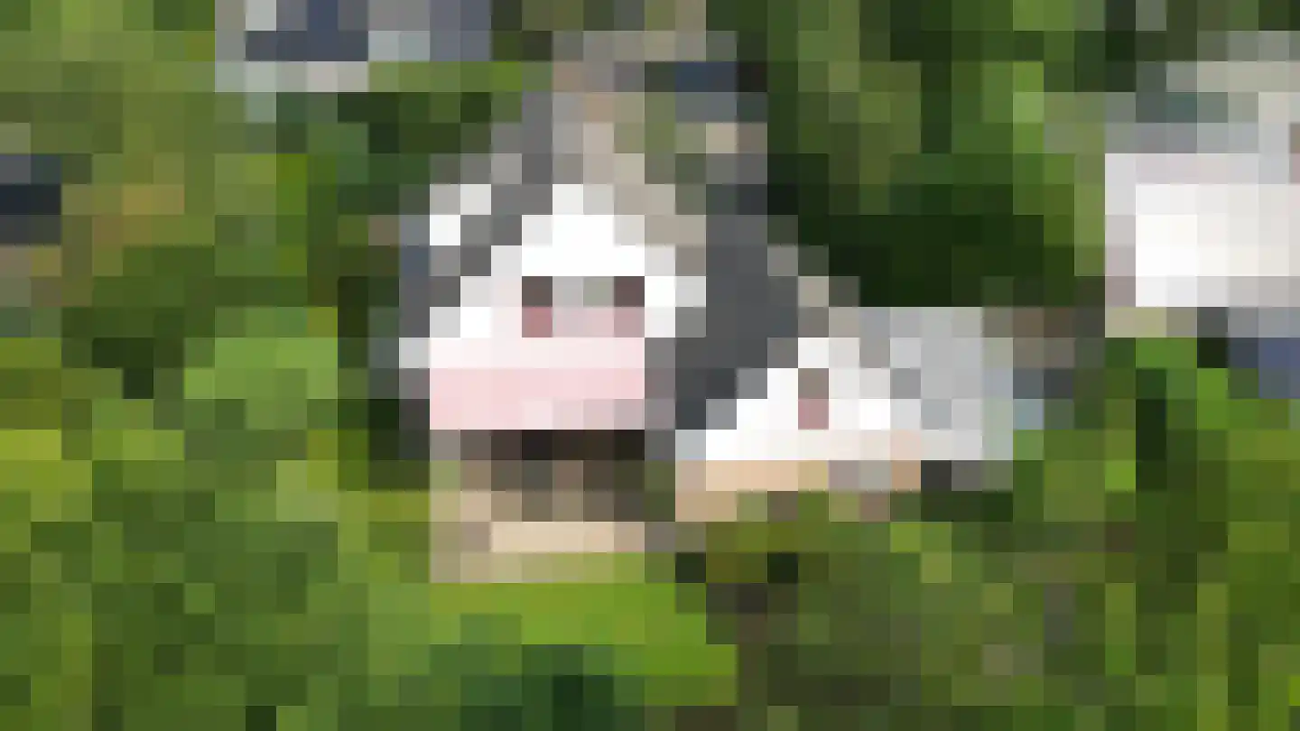 de Wandelingen 15 Wijhe thumbnail 5