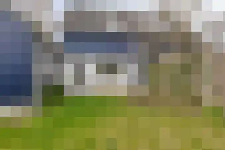 de Wandelingen 29 Wijhe thumbnail 23