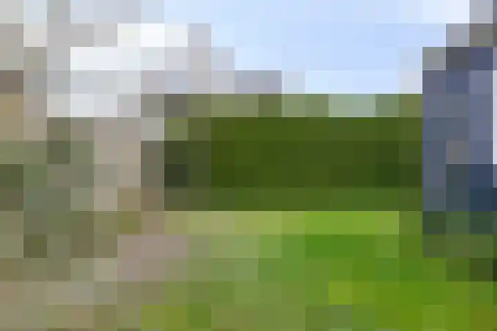 de Wandelingen 29 Wijhe thumbnail 24