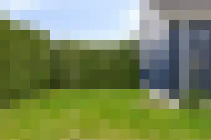 de Wandelingen 29 Wijhe thumbnail 25