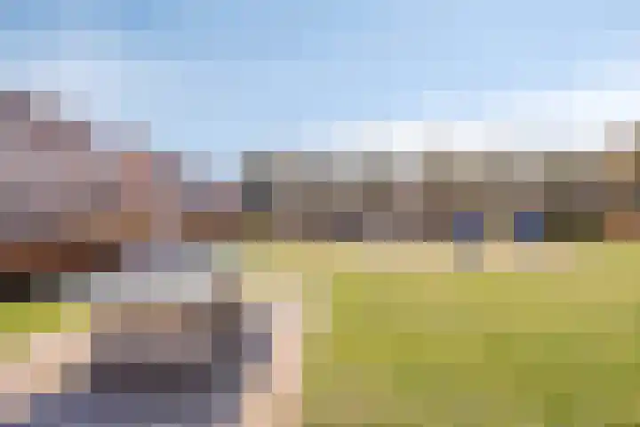 de Wandelingen 29 Wijhe thumbnail 28