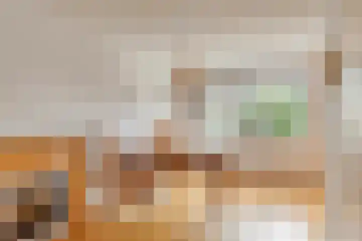 de Wandelingen 29 Wijhe thumbnail 8