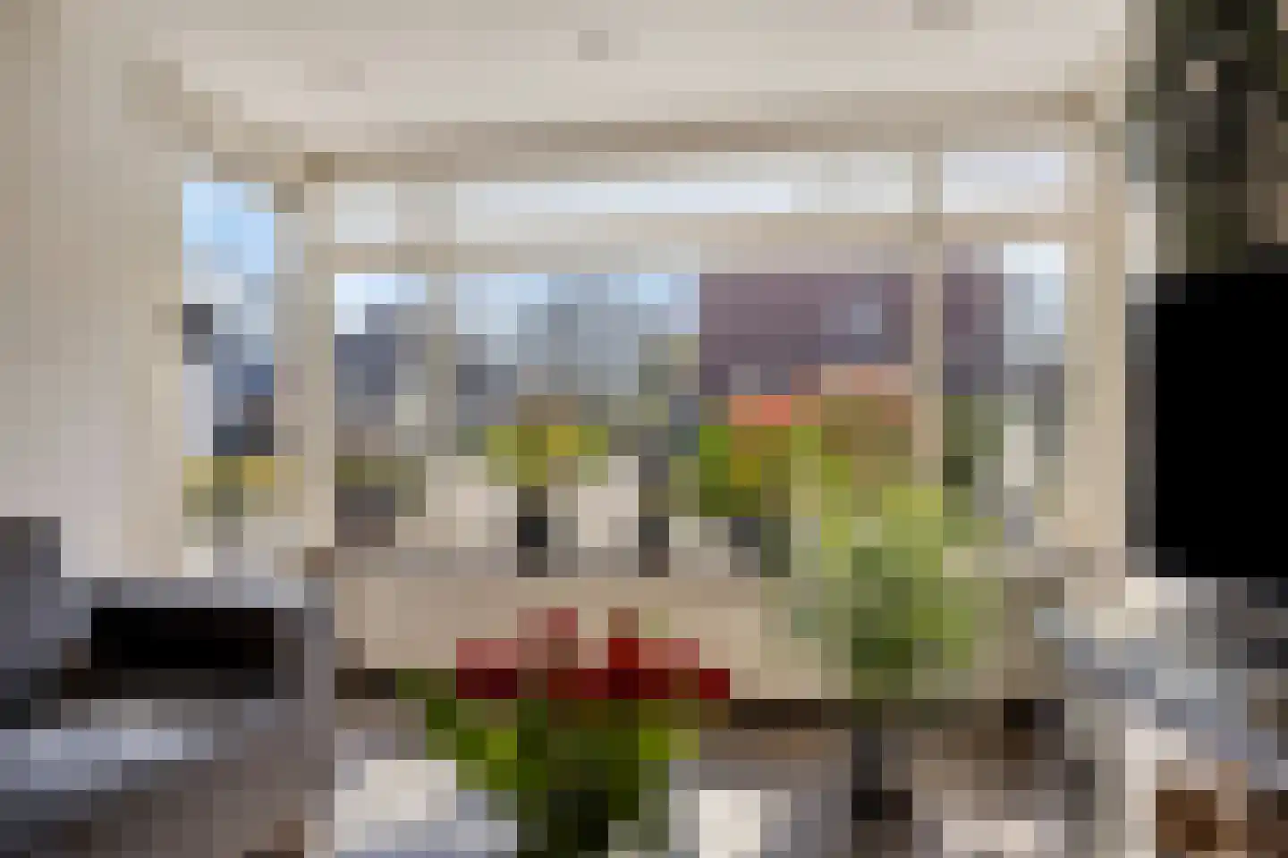 de Wandelingen 48 Wijhe thumbnail 8
