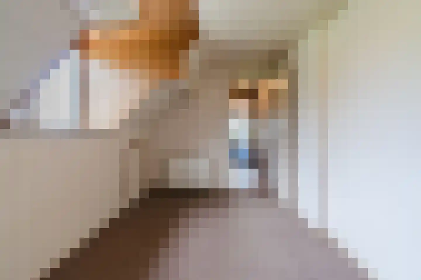 de Wangen 4 Wapenveld thumbnail 20